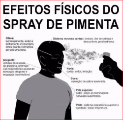 Spray Pimenta Ps007 Extra Forte1100ml